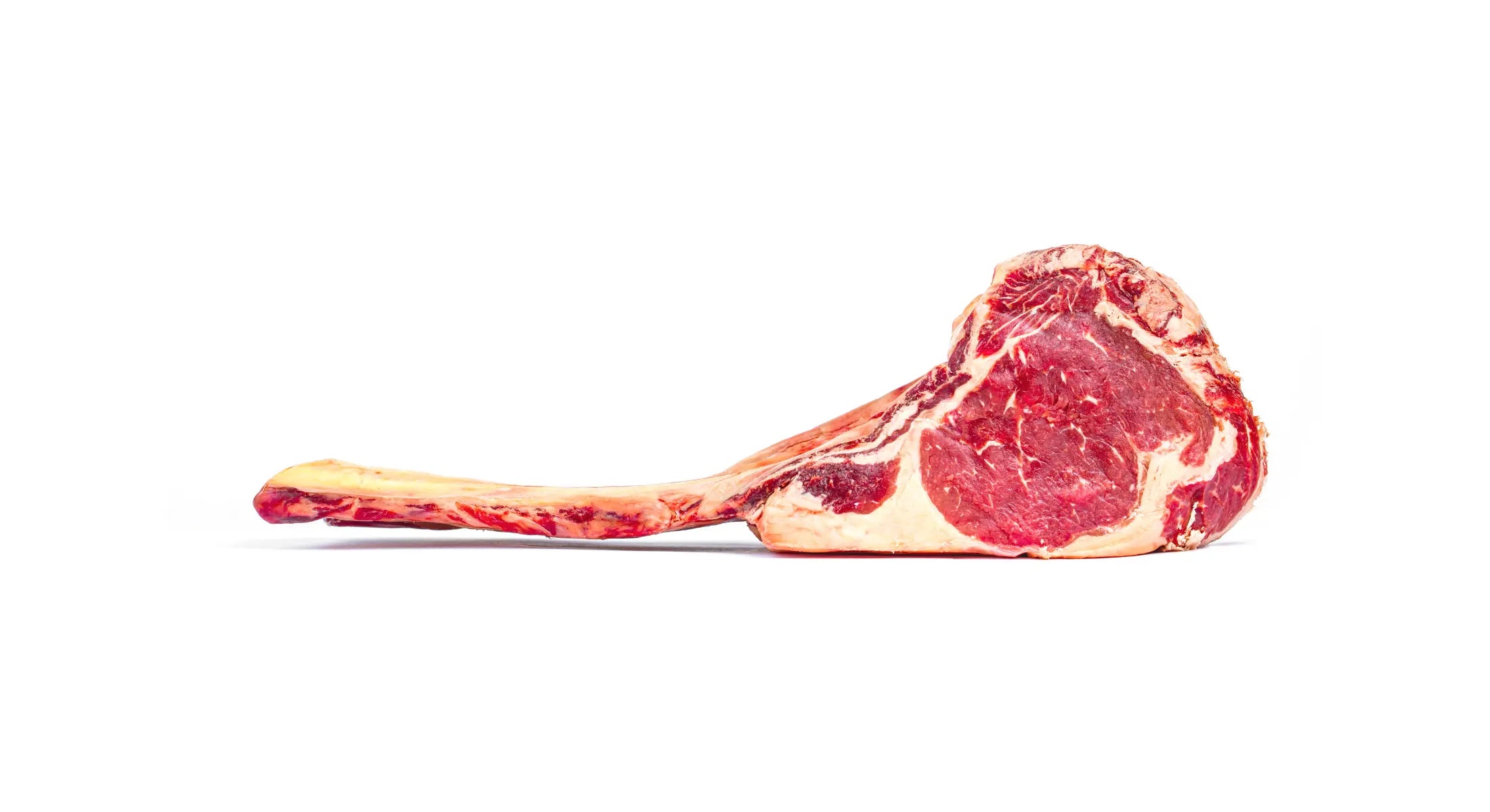 Raw tomahawk steak with marbled red meat and long bone on white background