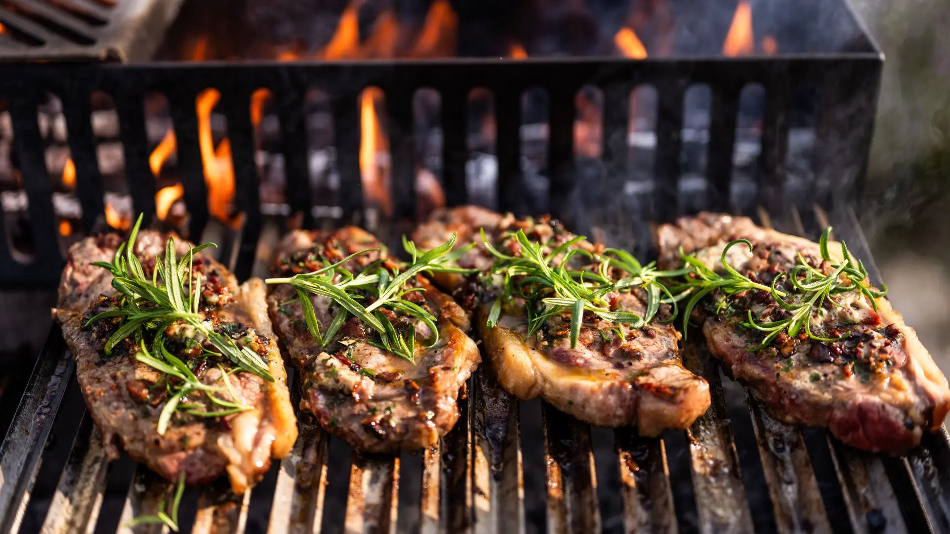 The Essential Asado Grill Collection