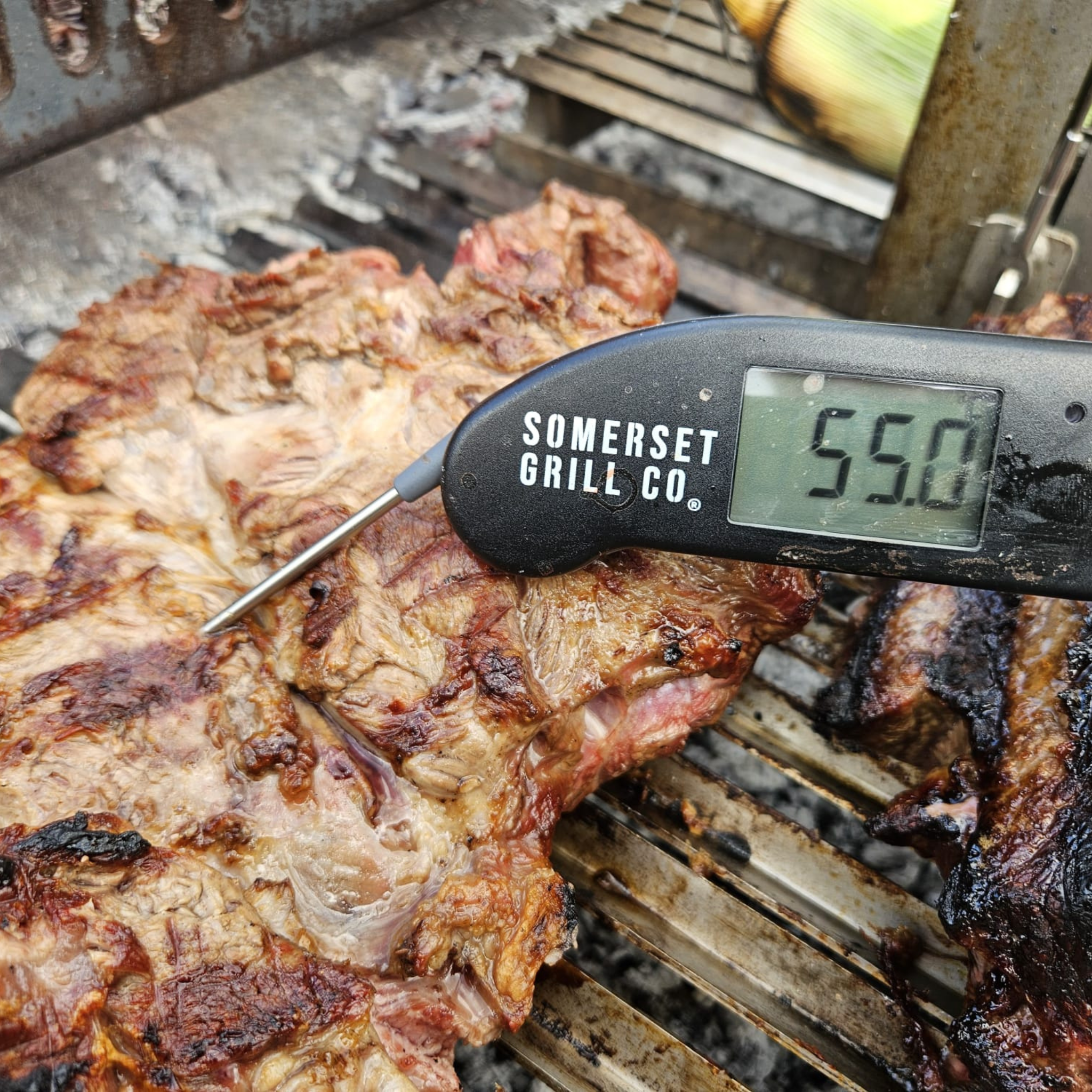 Thermapen ONE Meat thermometer