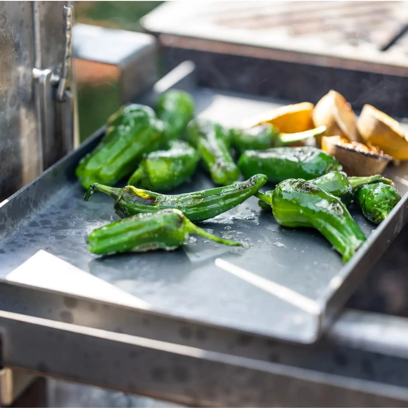 The Somerset grill Argentinian Grill | Chapa Plancha Grill Asado Single Chapa