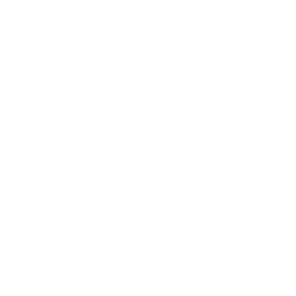 Logs Icon White