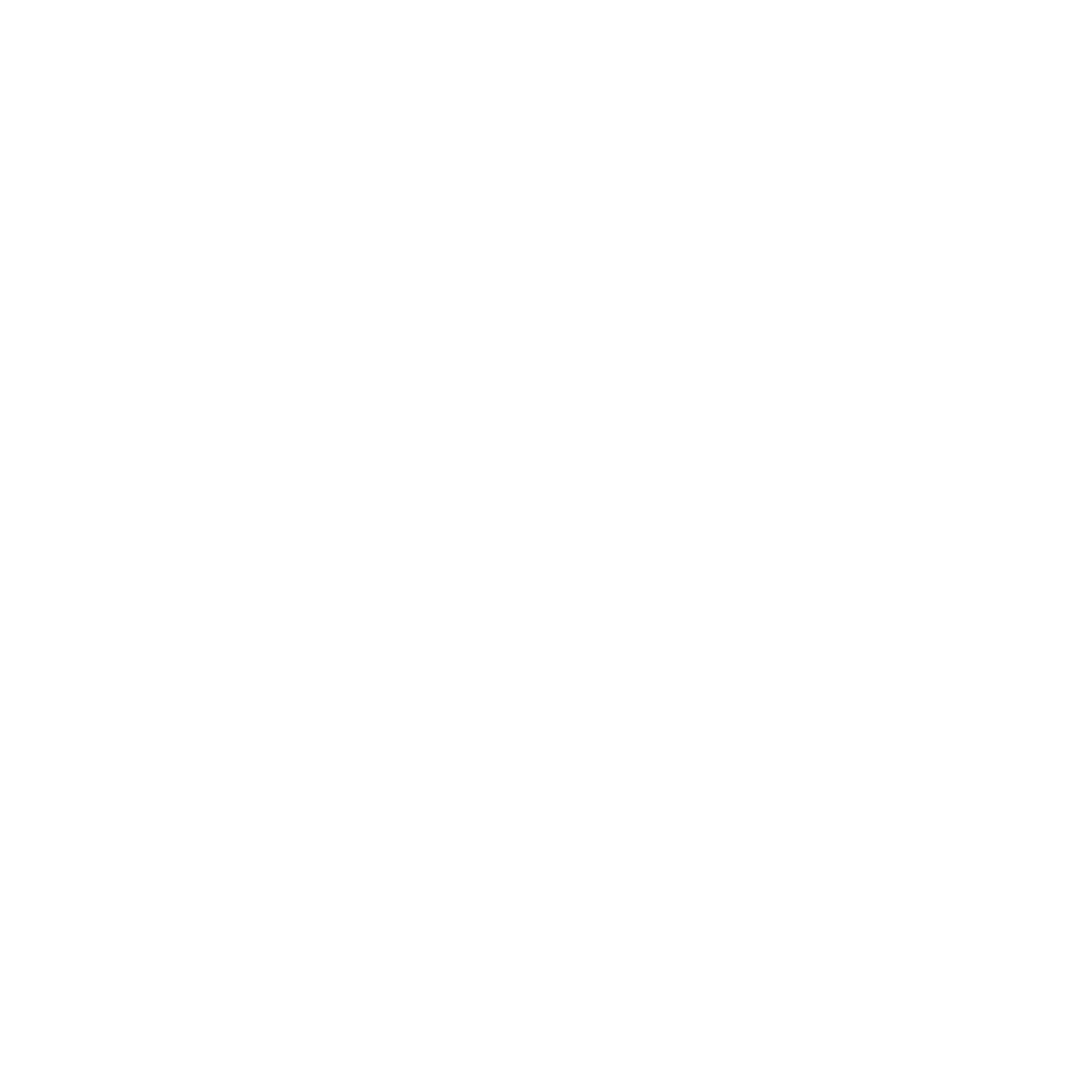 Lorry Icon White
